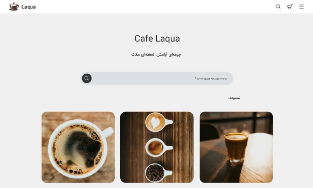 نمونه وب‌سایت ساخته شده با استار رایز